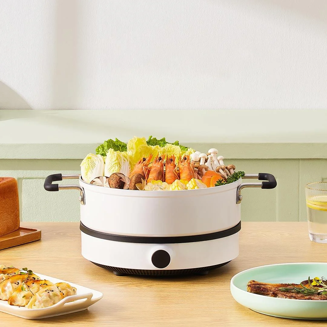 XIAOMI-MIJIA-Induction-Cooker-Youth-Edition-Portable-Electromagnetic-Oven-220V-Electric-Induction-Cooktop-9-Gear-Fire-2